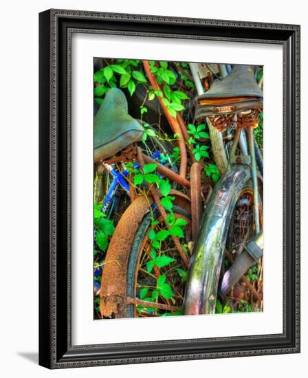 Amberline-Jim Crotty-Framed Photographic Print