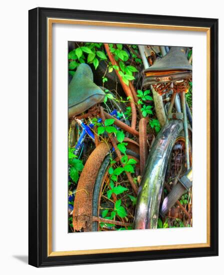 Amberline-Jim Crotty-Framed Photographic Print