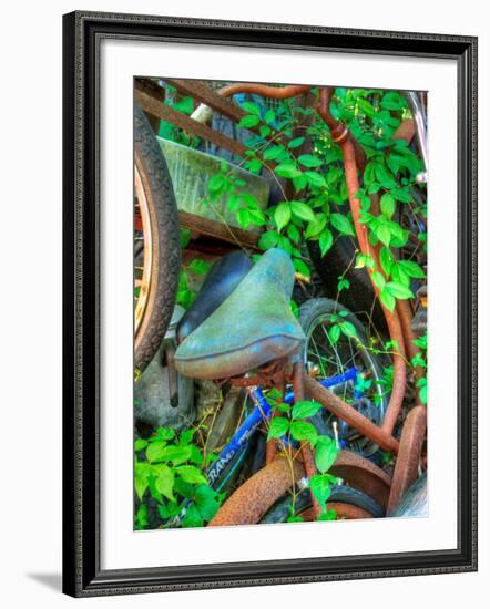 Ambermap-Jim Crotty-Framed Photographic Print