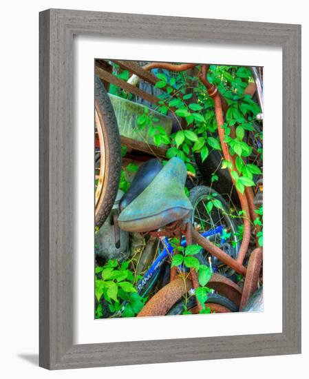 Ambermap-Jim Crotty-Framed Photographic Print