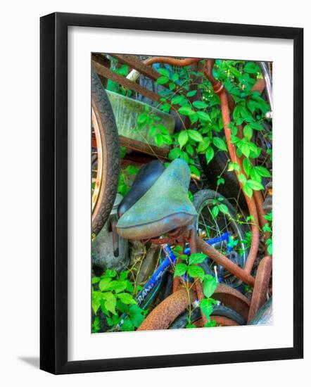 Ambermap-Jim Crotty-Framed Photographic Print