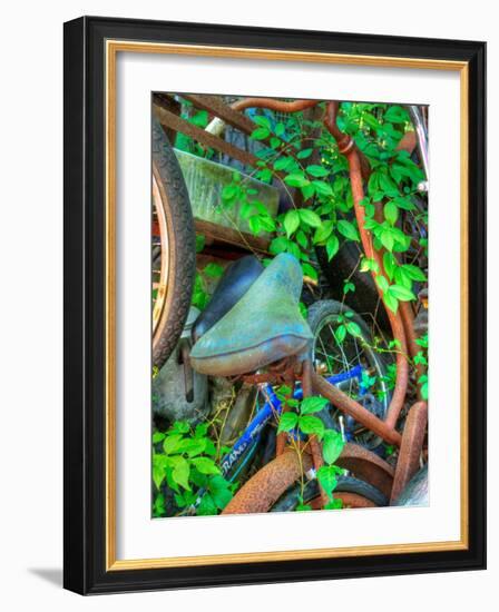 Ambermap-Jim Crotty-Framed Photographic Print