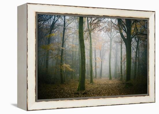 Ambiance Ephemere-Philippe Manguin-Framed Premier Image Canvas