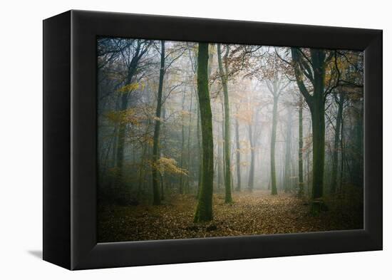 Ambiance Ephemere-Philippe Manguin-Framed Premier Image Canvas