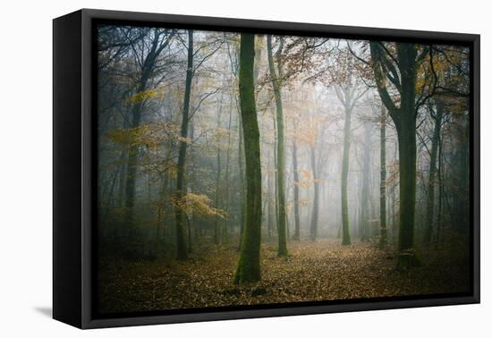 Ambiance Ephemere-Philippe Manguin-Framed Premier Image Canvas