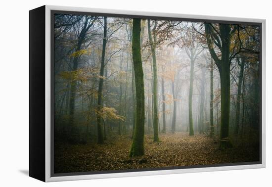 Ambiance Ephemere-Philippe Manguin-Framed Premier Image Canvas