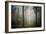 Ambiance Ephemere-Philippe Manguin-Framed Photographic Print