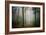 Ambiance Ephemere-Philippe Manguin-Framed Photographic Print