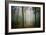 Ambiance Ephemere-Philippe Manguin-Framed Photographic Print