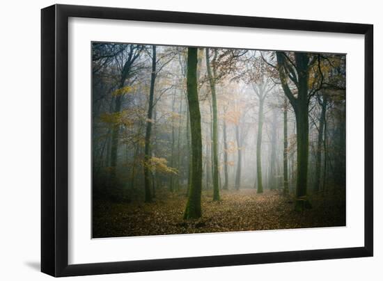 Ambiance Ephemere-Philippe Manguin-Framed Photographic Print