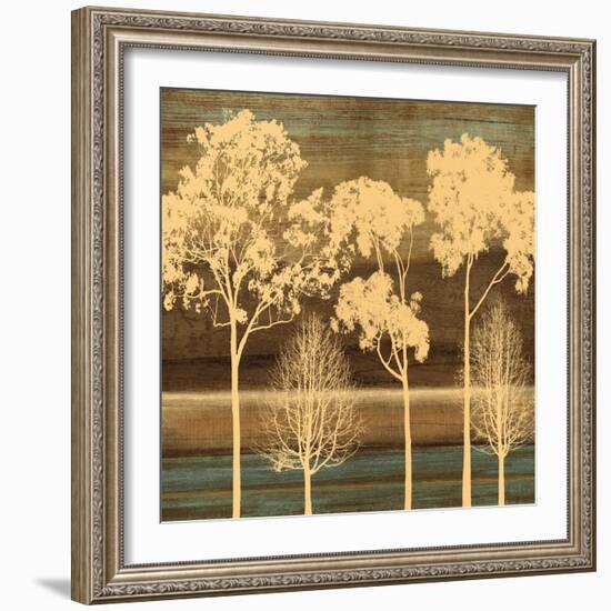 Ambiance I-Chris Donovan-Framed Art Print