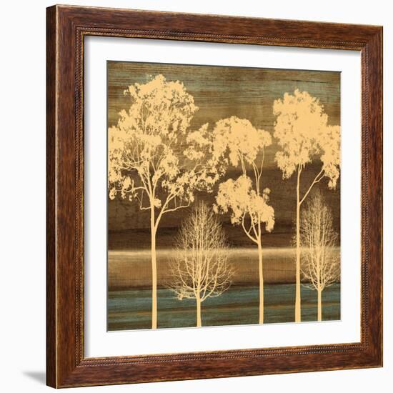 Ambiance I-Chris Donovan-Framed Art Print