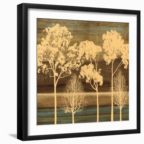 Ambiance I-Chris Donovan-Framed Art Print