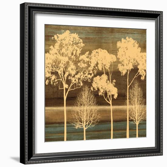 Ambiance I-Chris Donovan-Framed Art Print