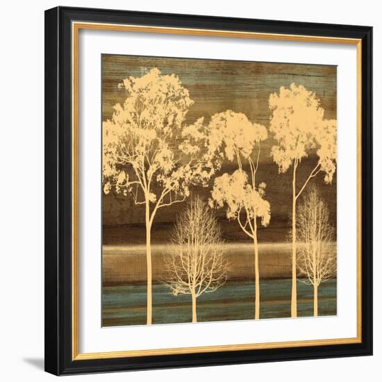 Ambiance I-Chris Donovan-Framed Art Print