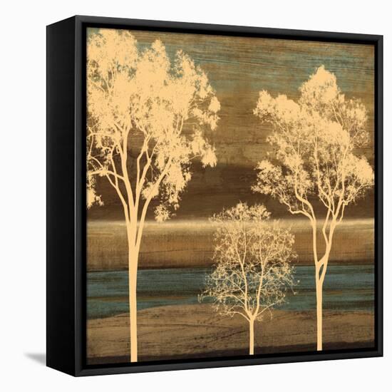 Ambiance II-Chris Donovan-Framed Stretched Canvas