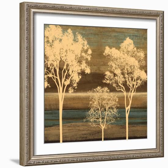 Ambiance II-Chris Donovan-Framed Art Print