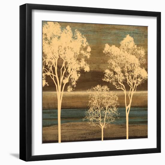 Ambiance II-Chris Donovan-Framed Art Print