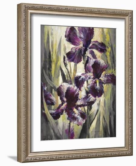 Ambient Iris 1-Brent Heighton-Framed Art Print