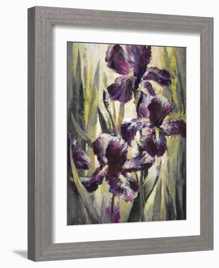 Ambient Iris 1-Brent Heighton-Framed Art Print