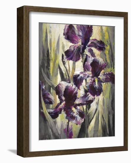 Ambient Iris 1-Brent Heighton-Framed Art Print