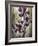 Ambient Iris 1-Brent Heighton-Framed Art Print