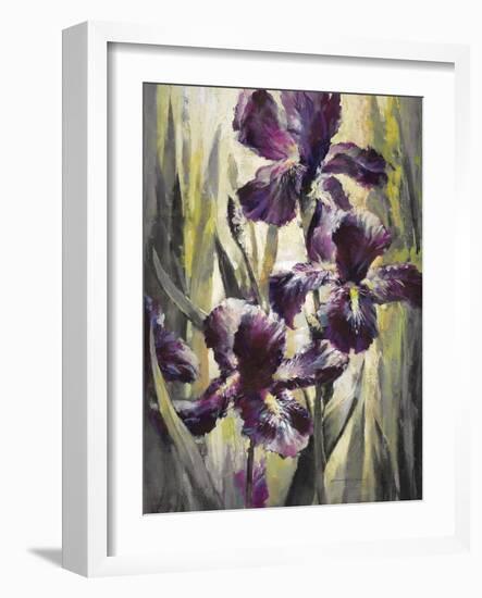 Ambient Iris 1-Brent Heighton-Framed Art Print