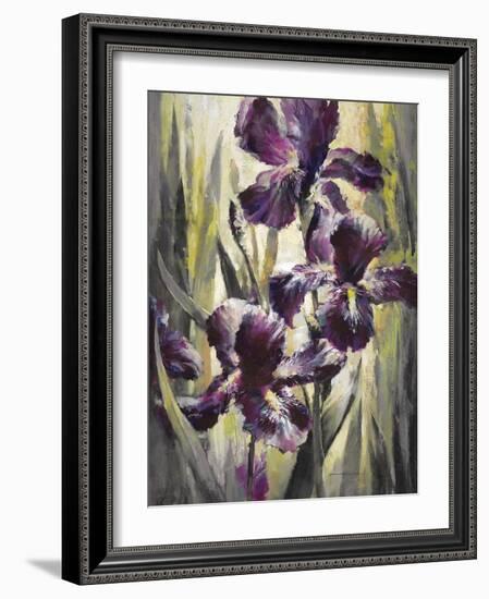 Ambient Iris 1-Brent Heighton-Framed Art Print