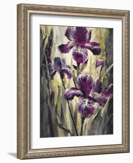 Ambient Iris 2-Brent Heighton-Framed Art Print