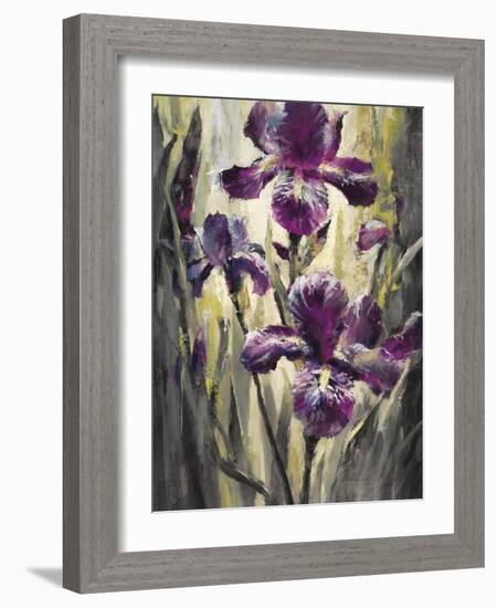 Ambient Iris 2-Brent Heighton-Framed Art Print