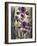 Ambient Iris 2-Brent Heighton-Framed Art Print