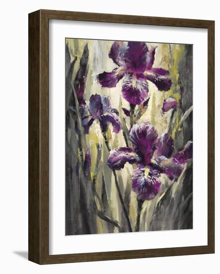 Ambient Iris 2-Brent Heighton-Framed Art Print