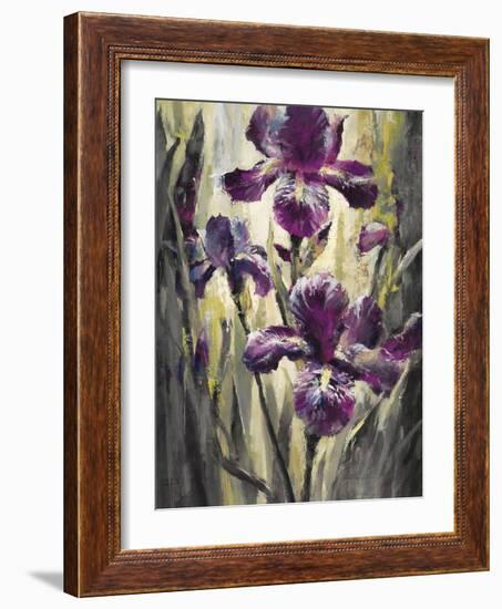 Ambient Iris 2-Brent Heighton-Framed Art Print