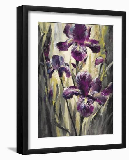 Ambient Iris 2-Brent Heighton-Framed Art Print