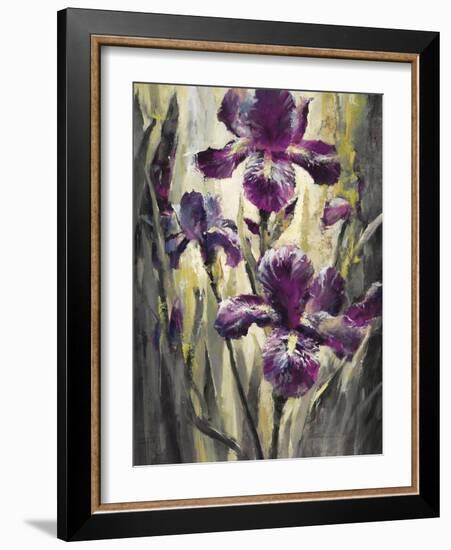 Ambient Iris 2-Brent Heighton-Framed Art Print