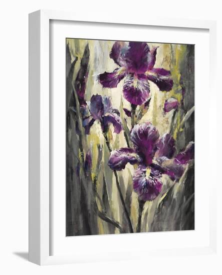 Ambient Iris 2-Brent Heighton-Framed Art Print