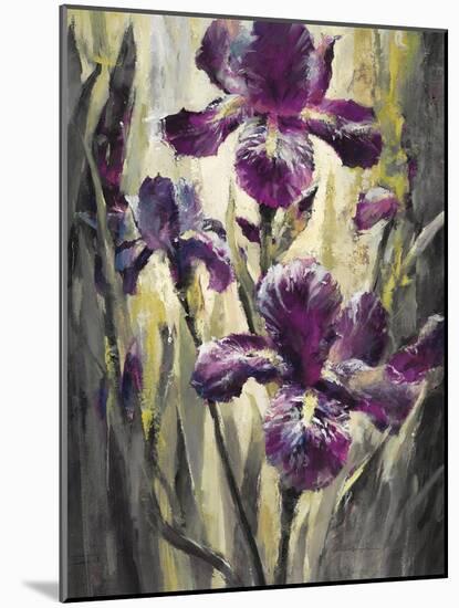 Ambient Iris 2-Brent Heighton-Mounted Art Print