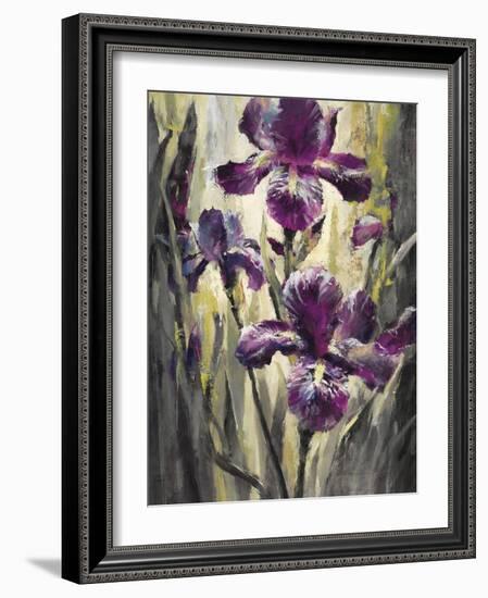 Ambient Iris 2-Brent Heighton-Framed Art Print