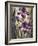 Ambient Iris 2-Brent Heighton-Framed Art Print