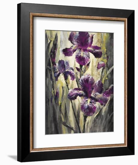 Ambient Iris 2-Brent Heighton-Framed Art Print