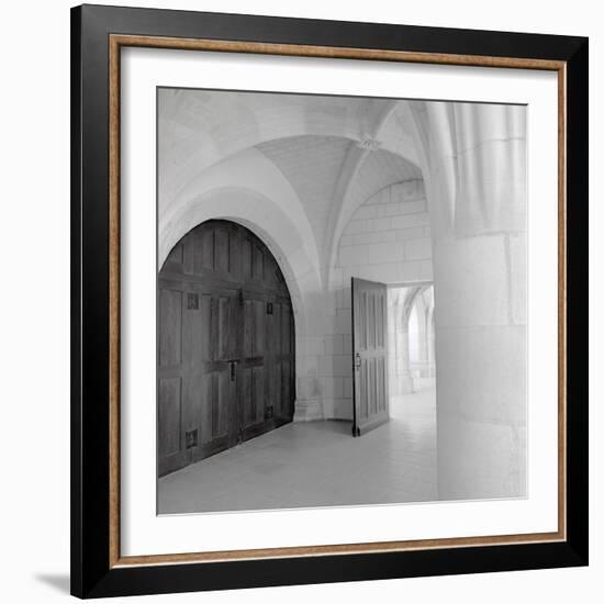 Amboise I-Alan Blaustein-Framed Photographic Print