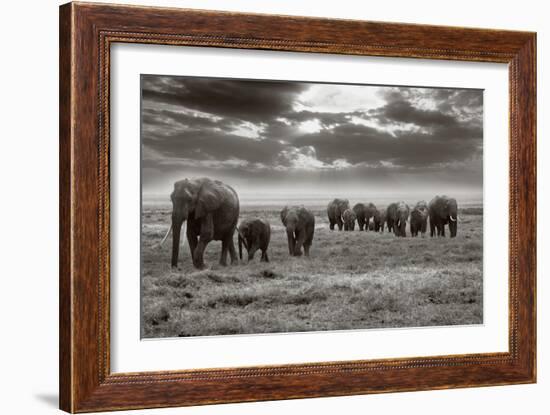 Amboseli Elephants-Jorge Llovet-Framed Art Print