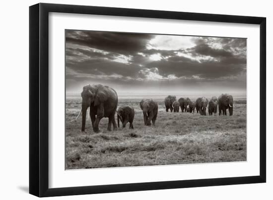 Amboseli Elephants-Jorge Llovet-Framed Art Print