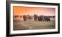 Amboseli Morning Stroll to Starbucks-Jeffrey C. Sink-Framed Photographic Print