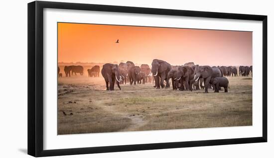 Amboseli Morning Stroll to Starbucks-Jeffrey C. Sink-Framed Photographic Print