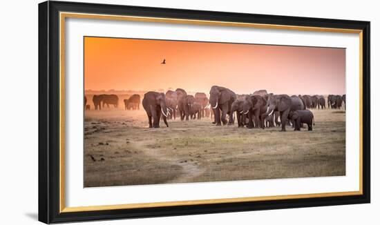 Amboseli Morning Stroll to Starbucks-Jeffrey C. Sink-Framed Photographic Print