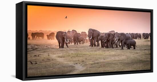 Amboseli Morning Stroll to Starbucks-Jeffrey C. Sink-Framed Premier Image Canvas