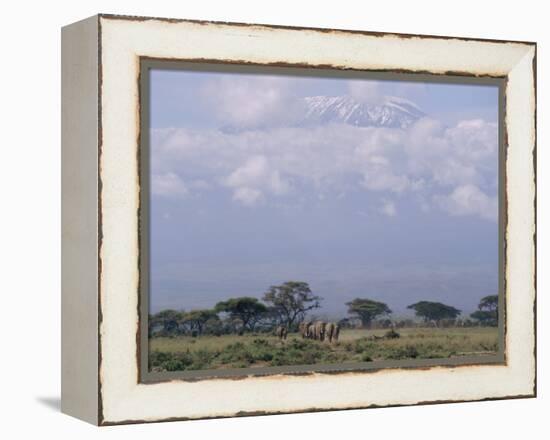 Amboseli National Park and Mt. Kilimanjaro, Kenya, Africa-Charles Bowman-Framed Premier Image Canvas