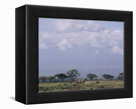 Amboseli National Park and Mt. Kilimanjaro, Kenya, Africa-Charles Bowman-Framed Premier Image Canvas