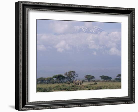 Amboseli National Park and Mt. Kilimanjaro, Kenya, Africa-Charles Bowman-Framed Photographic Print